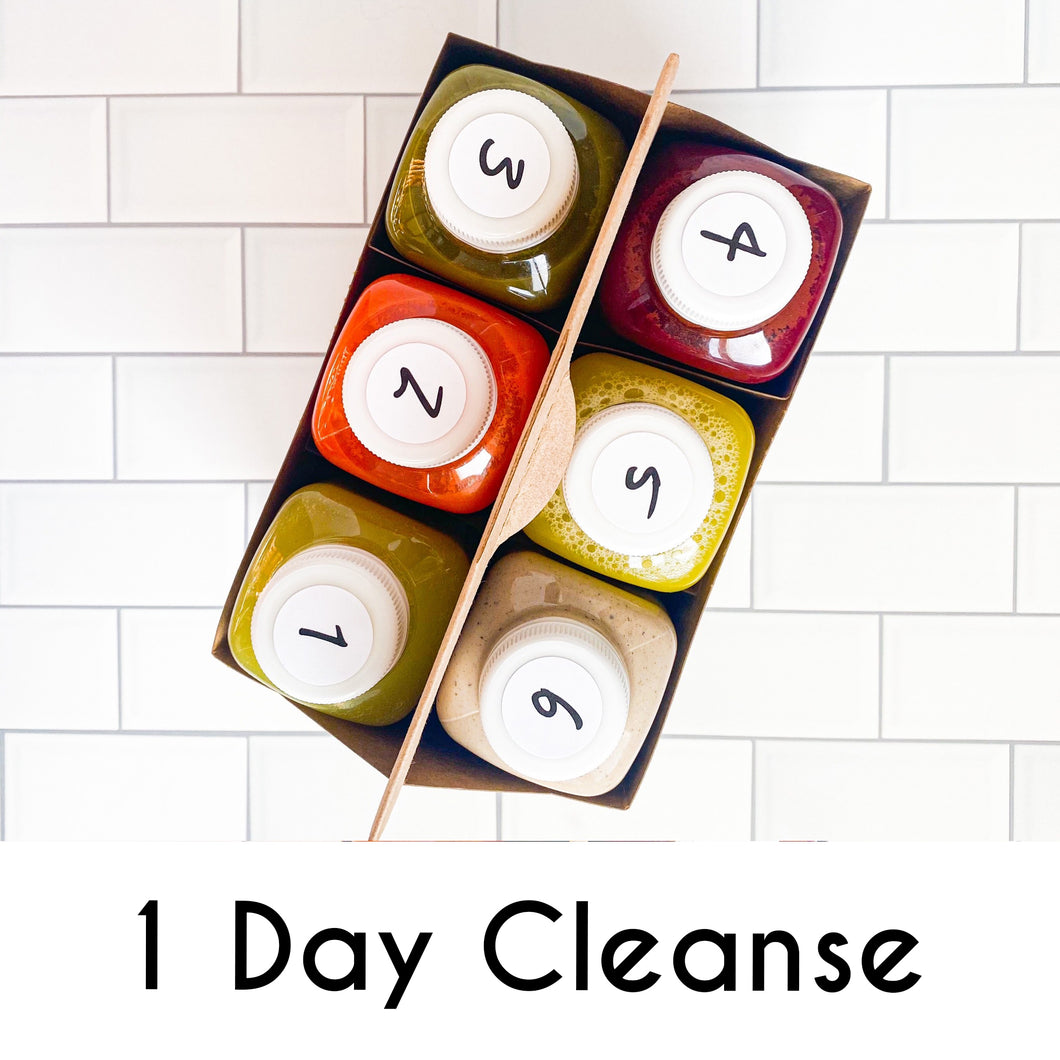 1 DAY JUICE & SOUP CLEANSE